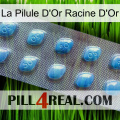 The Golden Root Gold Pill viagra3